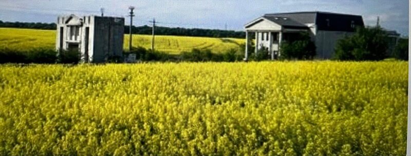 Snagov, proprietate ideala camin batrani sau locuinta, reducere mare pret.